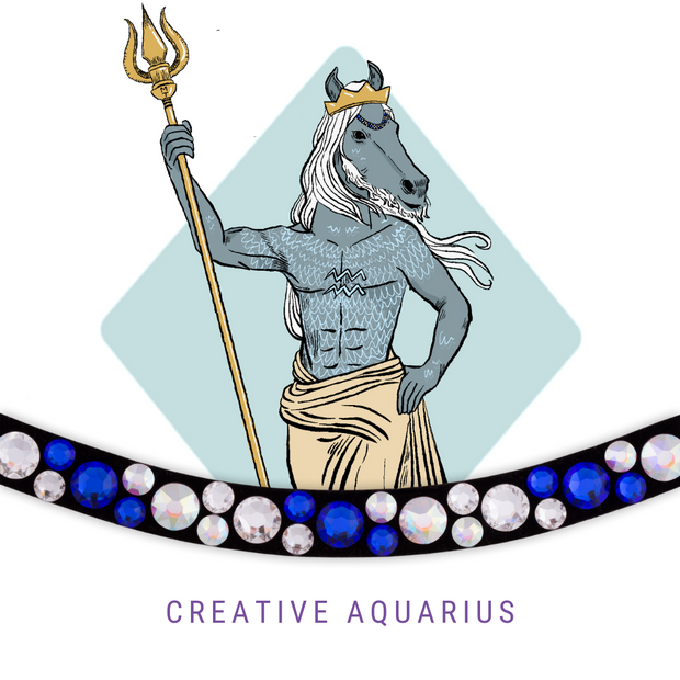 Creative Aquarius Frontriem Bling Swing
