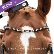 Strong Willed Capricorn  Frontriem Bling Swing