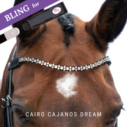 Cairo Cajanos Dream by Dimi Mimi Frontriem Bling Swing