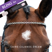 Cairo Cajanos Dream by Dimi Mimi Frontriem Bling Classic