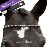 Loyal Taurus Frontriem Bling Classic