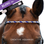 Creative Aquarius Frontriem Bling Classic