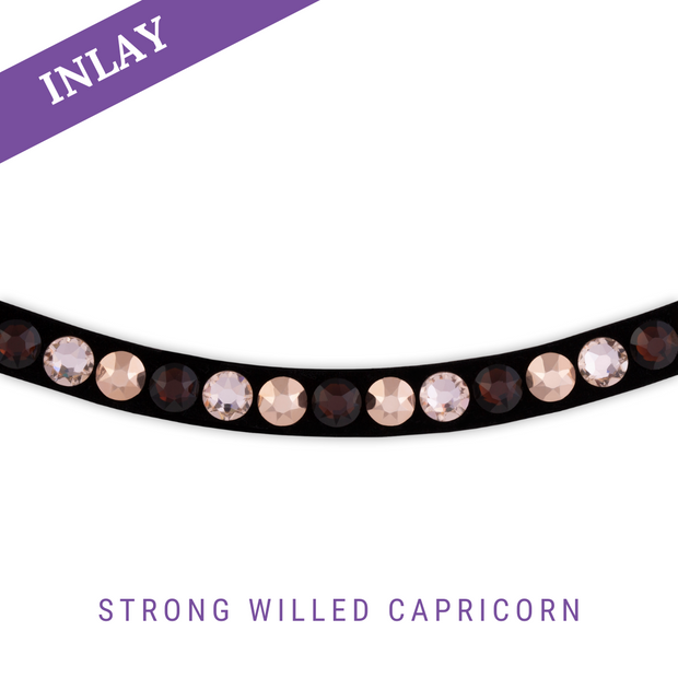 Strong Willed Capricorn  Inlay Swing