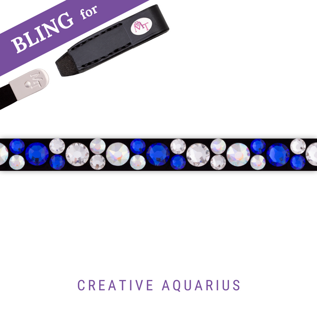 Creative Aquarius Frontriem Bling Classic