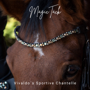 Vivaldo's Sportieve Chantelle van Julia Bling Swing