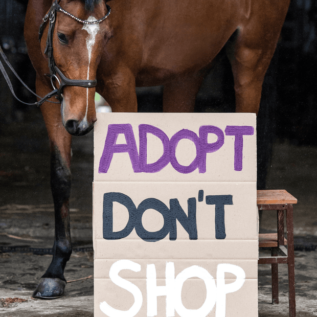 Adopt don´t Shop Patch wit
