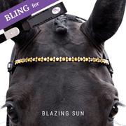 Blazing Sun Frontriem Bling Classic