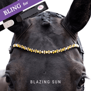 Blazing Sun Frontriem Bling Swing