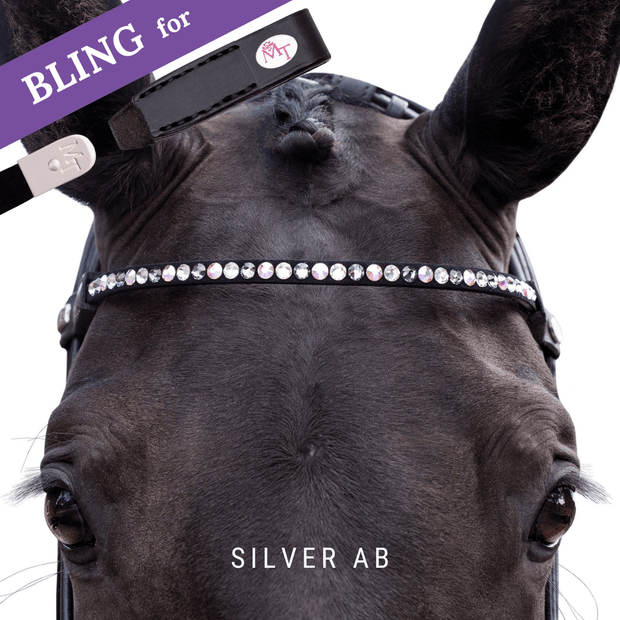 Zilver AB Frontriem Bling Classic
